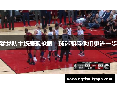 猛龙队主场表现抢眼，球迷期待他们更进一步