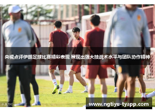 央视点评伊朗足球比赛精彩表现 展现出强大技战术水平与团队协作精神