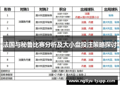 法国与秘鲁比赛分析及大小盘投注策略探讨